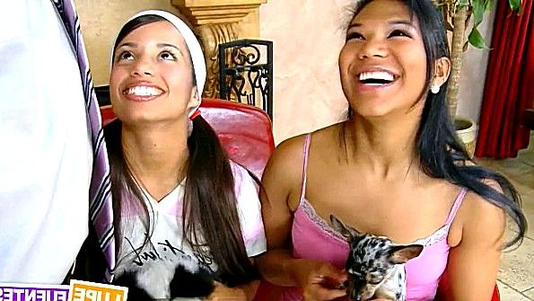 Порнографическое собрание камшотов на грудь развратных женщин