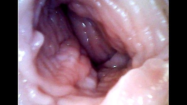 Порнографическое собрание сосания члена в исполнении знаменитой актрисы